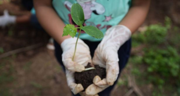 Green-Kids-Initiative-1